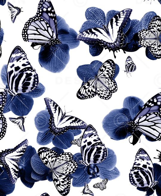 蝴蝶印花华亿平台图片