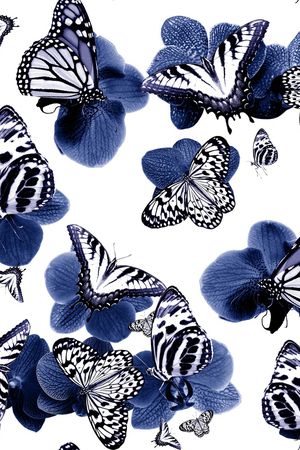 蝴蝶印花华亿平台图片