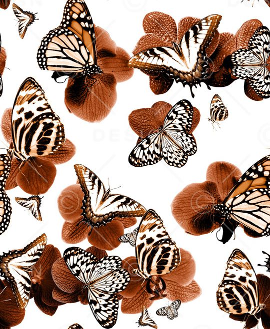 兰花印花华亿平台图片