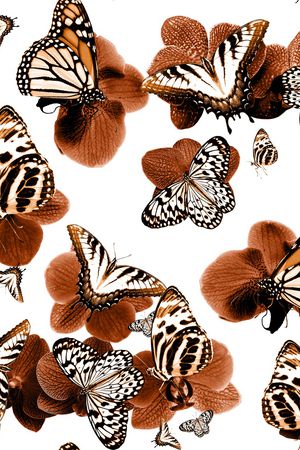 兰花印花华亿平台图片