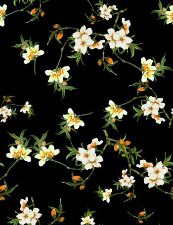 1098106-未标题092A