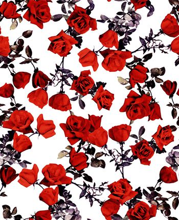 1098125-未标题-103