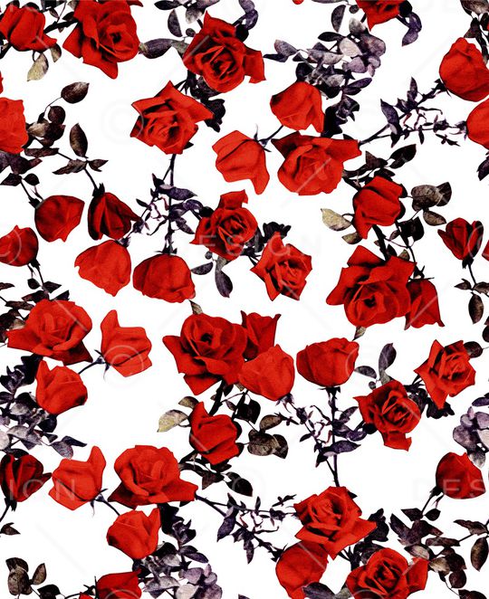 玫瑰花印花华亿平台图片