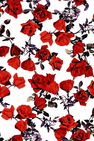 玫瑰花印花华亿平台图片