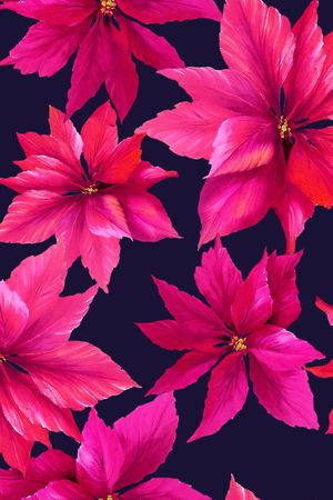 牡丹印花华亿平台图片