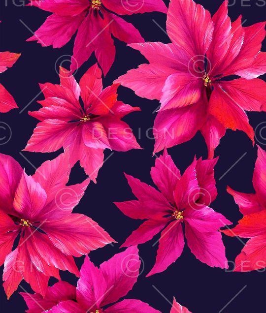 牡丹印花华亿平台图片