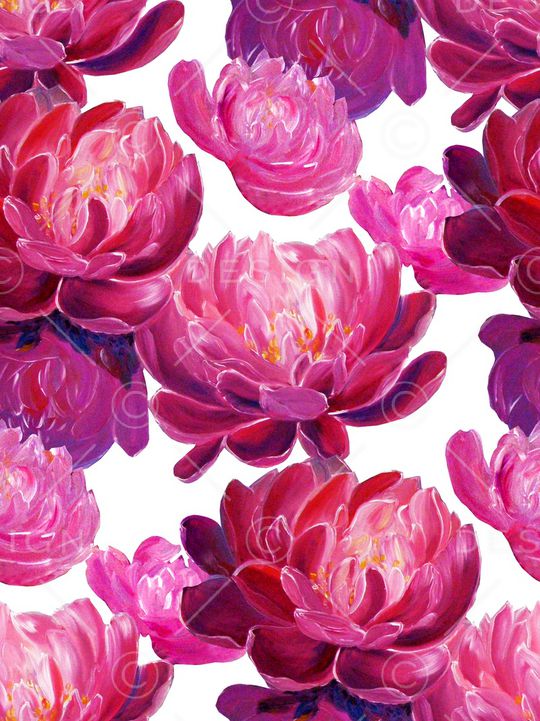 牡丹印花华亿平台图片