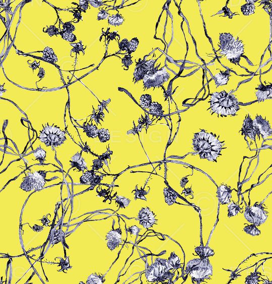 蒲公英印花华亿平台图片