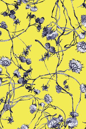 蒲公英印花华亿平台图片