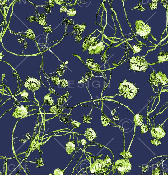 蒲公英印花华亿平台图片