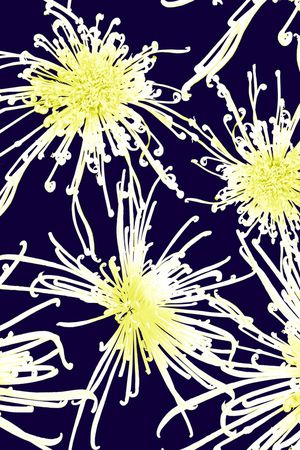 蒲公英印花华亿平台图片