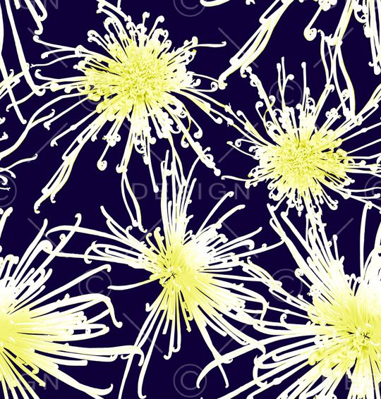 蒲公英印花华亿平台图片