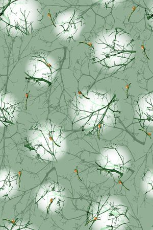 春夏华亿平台印花华亿平台图片