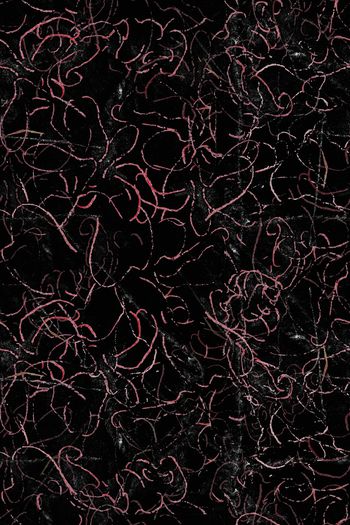 1098659-180715-shxt-2-00