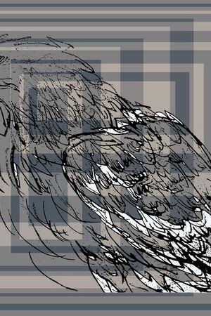 老鹰印花华亿平台图片