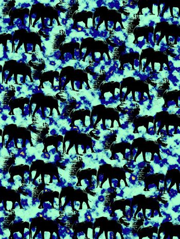 大象印花华亿平台图片