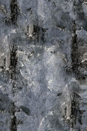 男装印花华亿平台图片