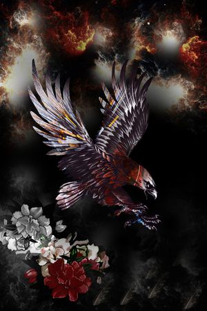 黑白华亿平台印花华亿平台图片