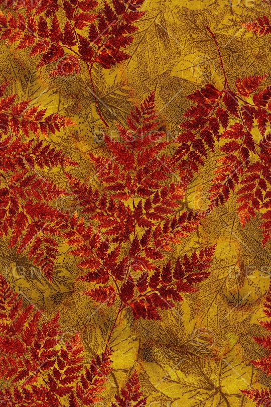 网布蕾丝印花华亿平台图片