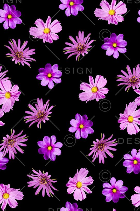 大花印花华亿平台图片