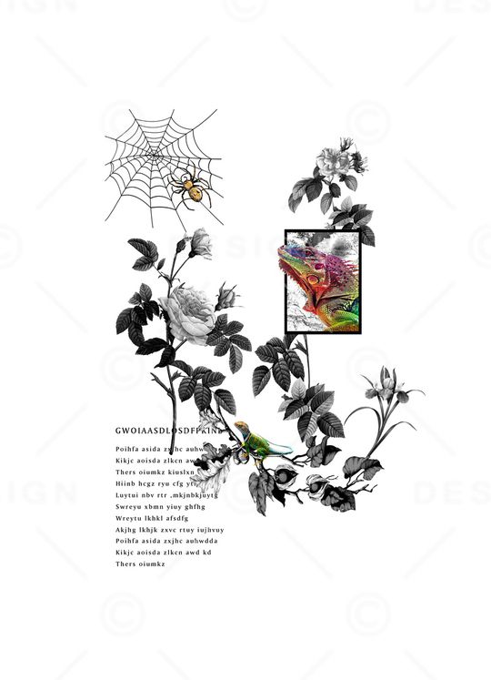 蜘蛛网手绘蜘蛛印花华亿平台图片