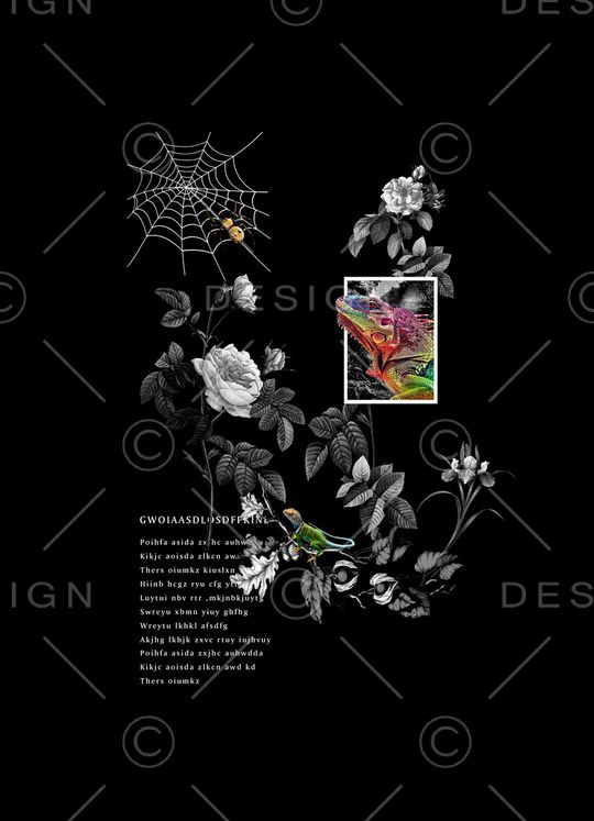 蜘蛛网手绘蜘蛛印花华亿平台图片