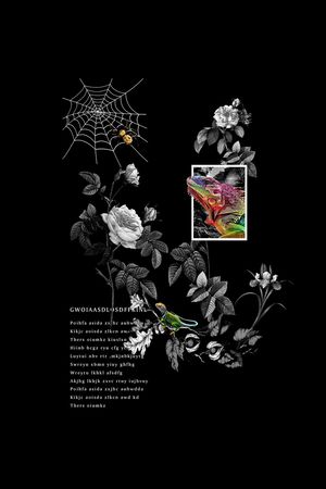 蜘蛛网手绘蜘蛛印花华亿平台图片