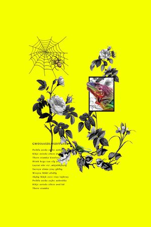 蜘蛛网手绘蜘蛛印花华亿平台图片