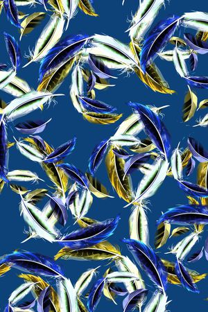 羽毛印花华亿平台图片