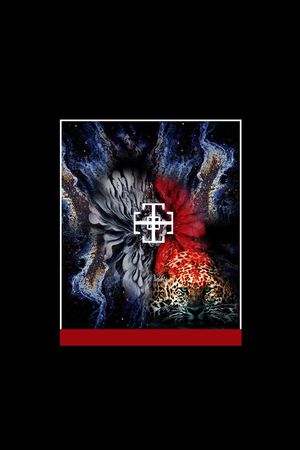 豹子印花华亿平台图片