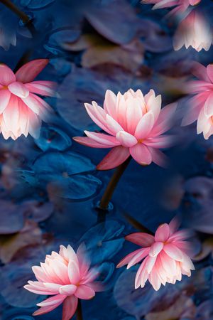 印花印花华亿平台图片