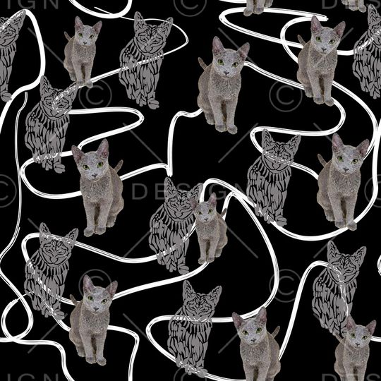 条纹印花华亿平台图片