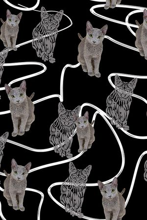 条纹印花华亿平台图片