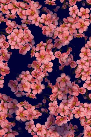 植物印花华亿平台图片