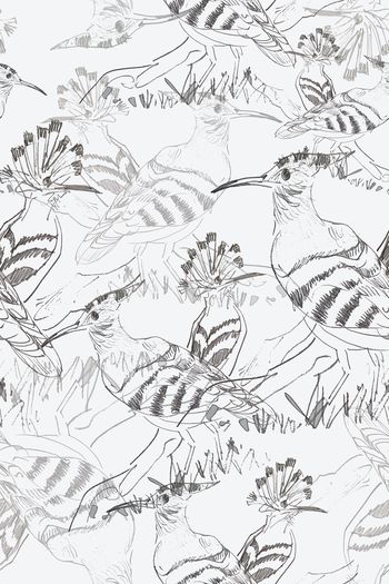 1101079-180729-shxt-1-2