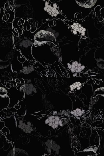 1101080-180729-shxt-2-00