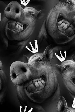 猪印花华亿平台图片