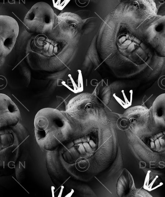 猪印花华亿平台图片