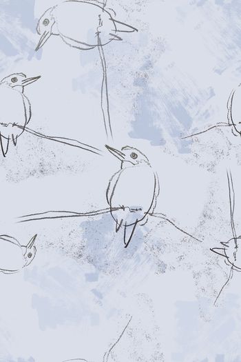 1101235-180729-shxt-4-3