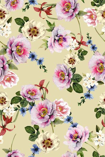 1101237-手绘花朵 18074792b