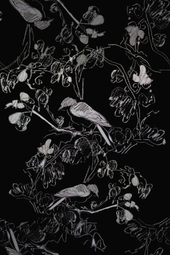 1101285-180729-shxt-7-00