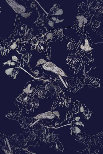 1101286-180729-shxt-7-2