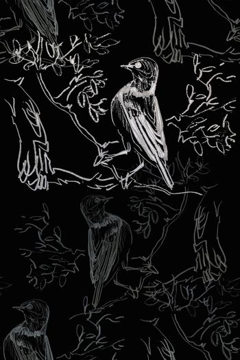 1101360-180729-shxt-8-00