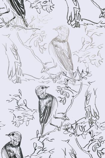 1101362-180729-shxt-8-2