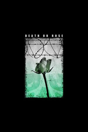 骷髅印花华亿平台图片