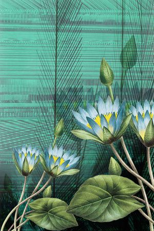 定位花印花华亿平台图片