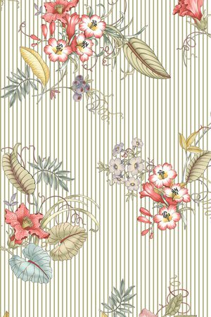 黑白条纹印花华亿平台图片