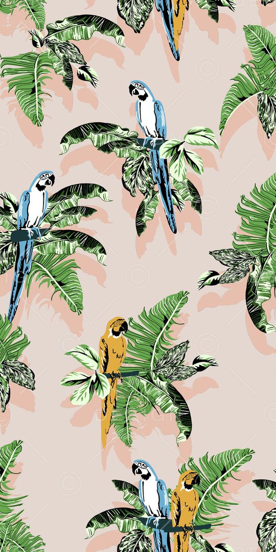 鹦鹉印花华亿平台图片