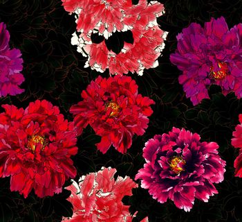 1102352-中国牡丹