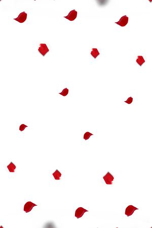 定位花印花华亿平台图片